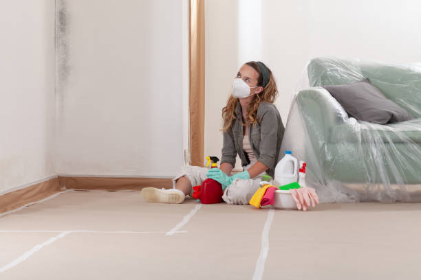 Reliable Mold Remediation contractor in Clifton, IL by WQB Mold Removal